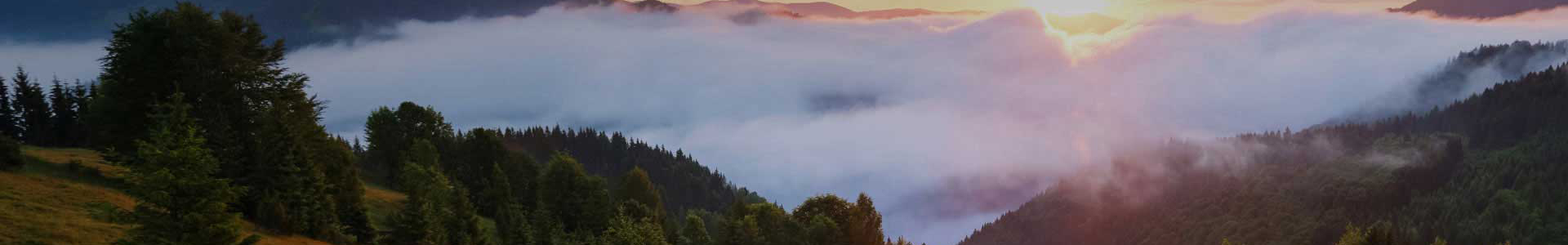 상단배너1